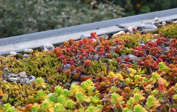 the cost of Biscovey green roof installation