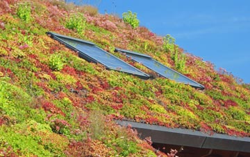 Biscovey living roof systems